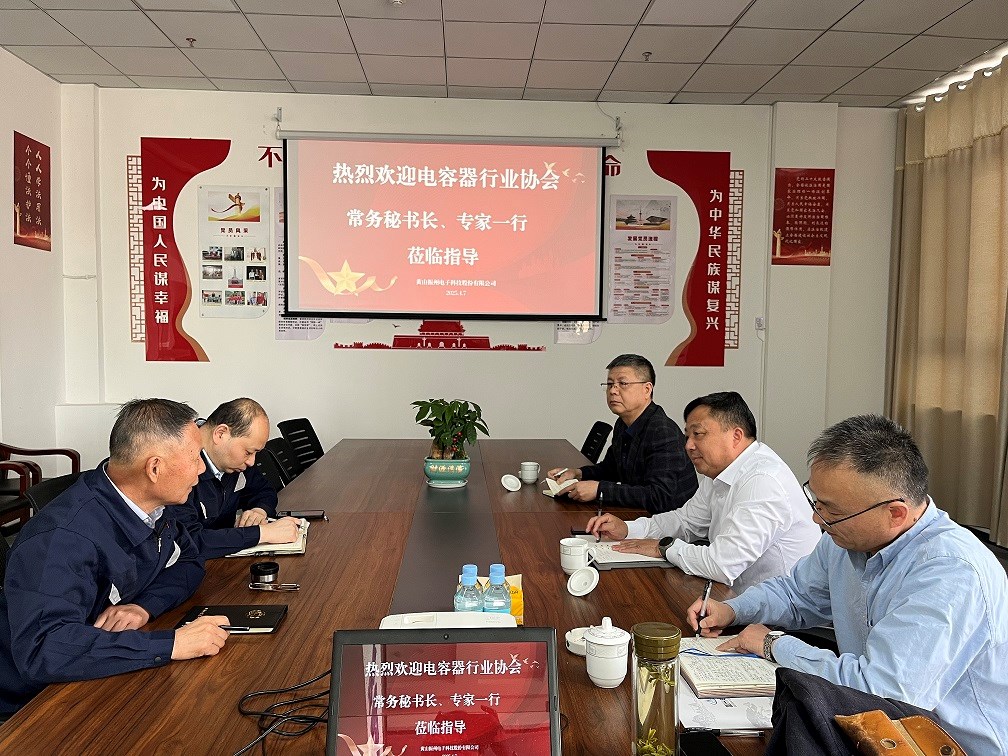 中國(guó)電子元件行業(yè)協(xié)會(huì)電容器分會(huì)副秘書(shū)長(zhǎng)凌建民一行深入黃山振州考察調(diào)研